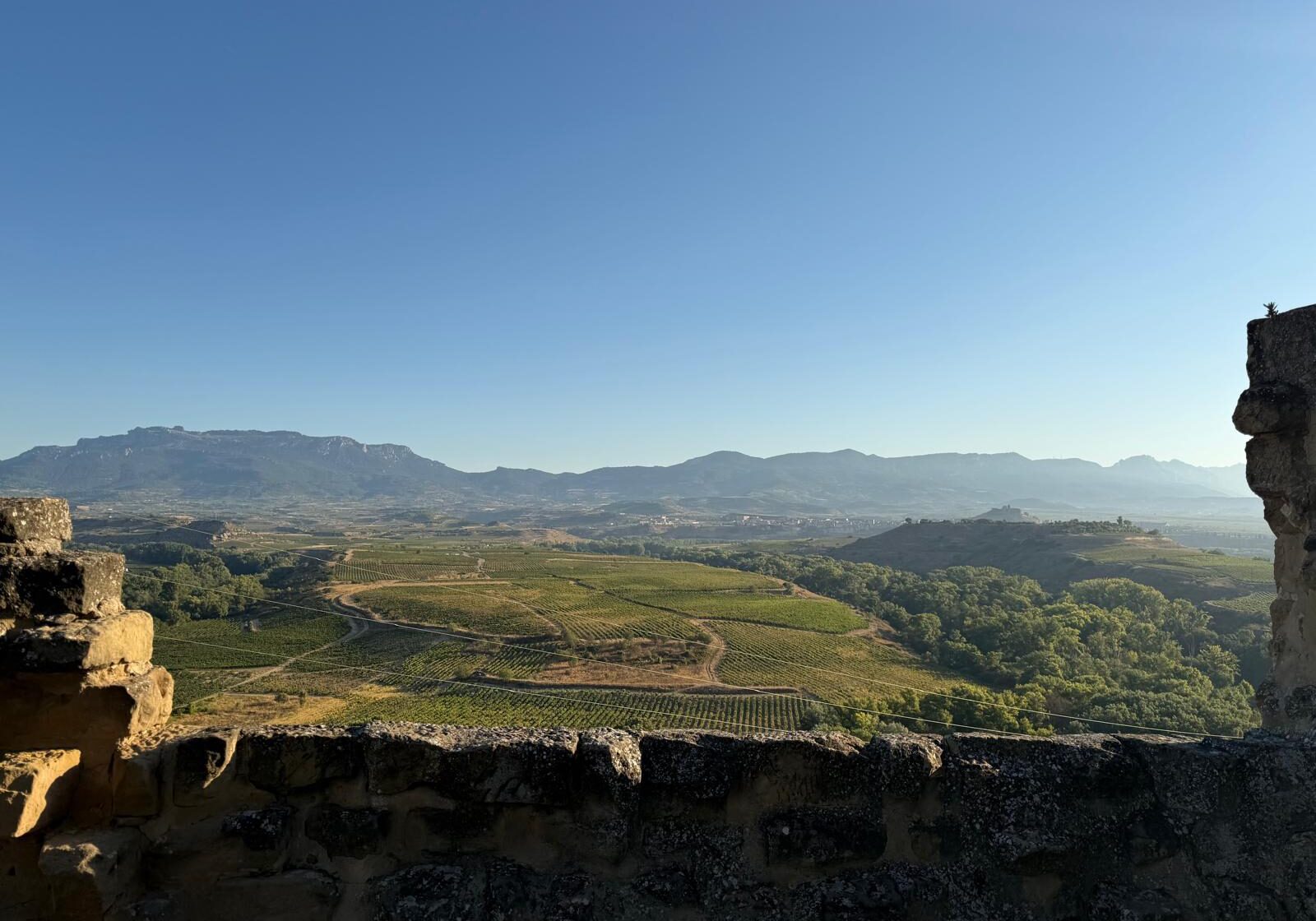 Wine Rally, Rally Damics; The soul of Rioja Cellars and vineyards set the rhythm.