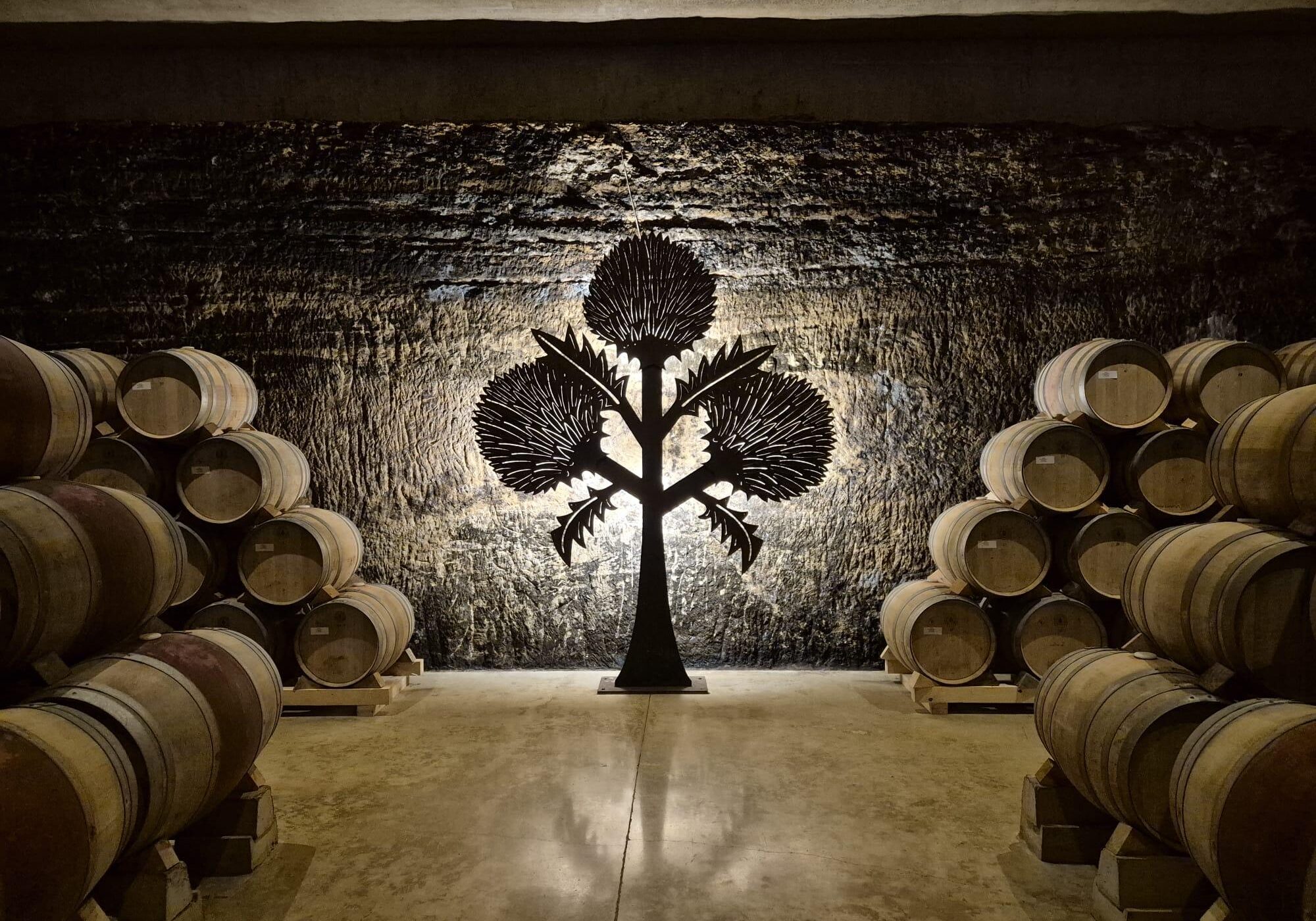 Wine Rally, Rally Damics; Bodegas Roda, cellar wine, Modern wine architecture and craftsmanship.