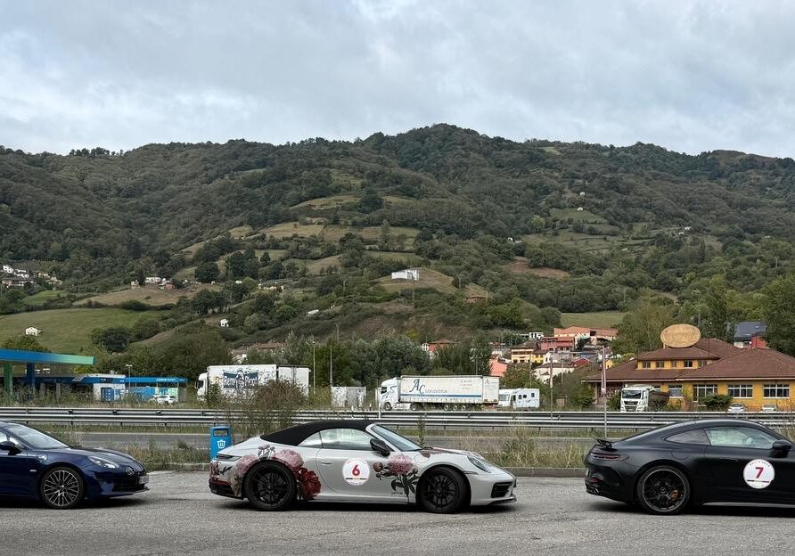 Wine Rally, Rally Damics; Bierzo Alto